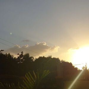 Meet your Posher, Dylan